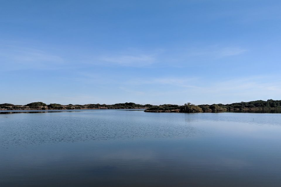 From Valencia: Private Albufera Van Tour With Boat Ride - Experience Highlights