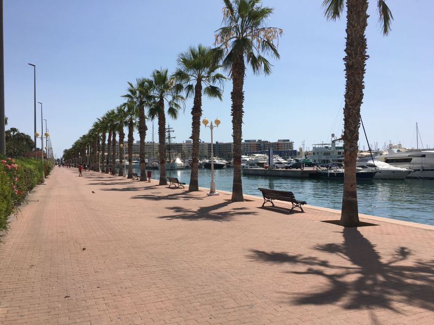 From Valencia: Private Day Trip to Alicante With Local Guide - Logistics and Transportation