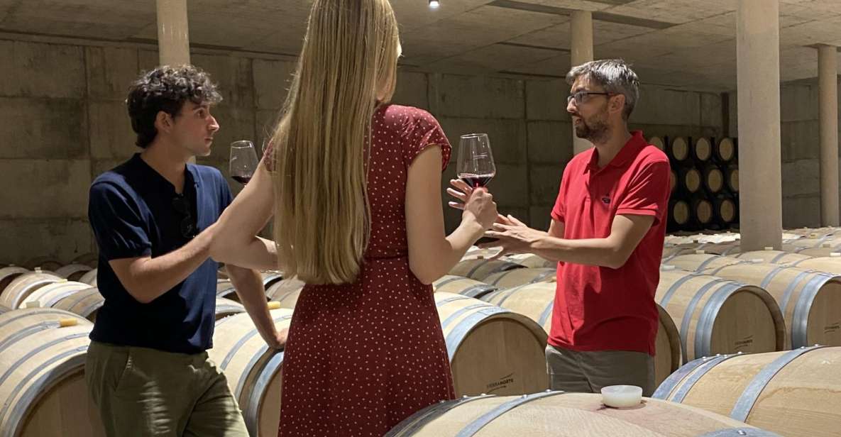 From Valencia: Requena Wine Tour With Tastings - Activity Highlights