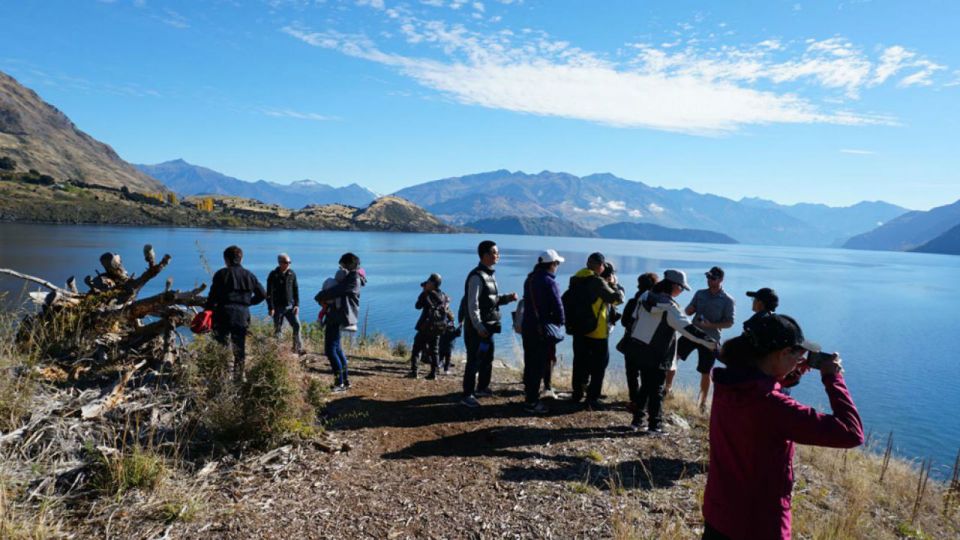 From Wanaka: Ruby Island 1-Hour Cruise and Photo Walk - Booking Information