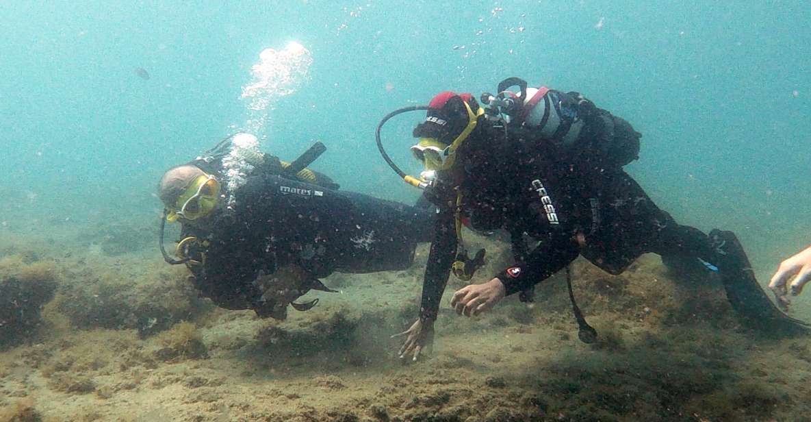 Fuerteventura : Discover Scuba Diving - Activity Highlights