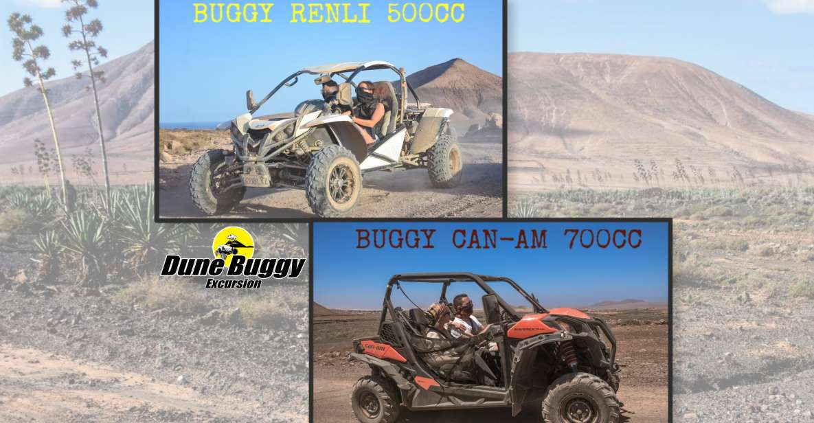 Fuerteventura: Dune Buggy Tour in Northern Fuerteventura - Experience Highlights