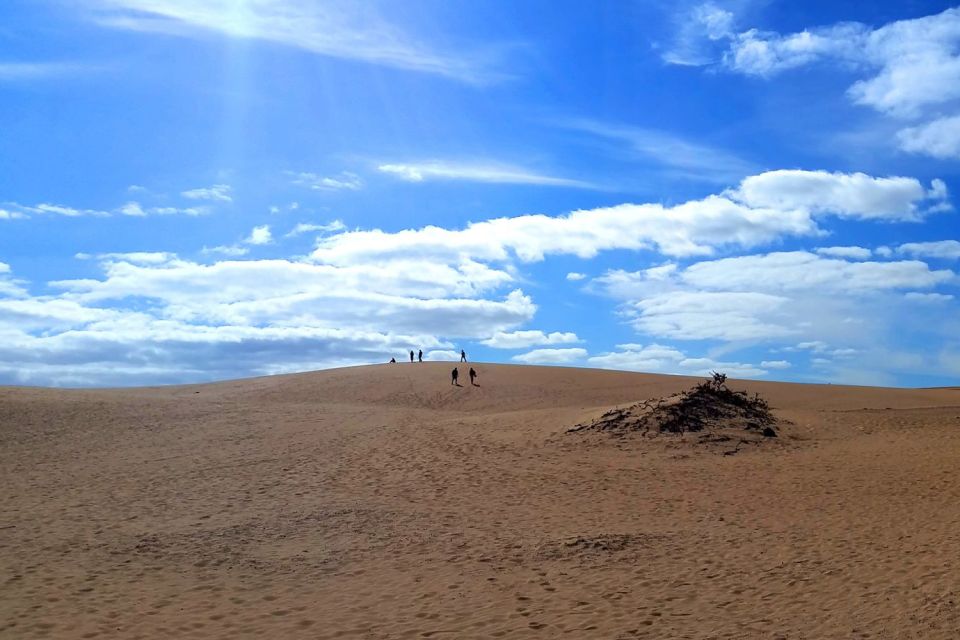 Fuerteventura: Panoramic Tour - Booking Information