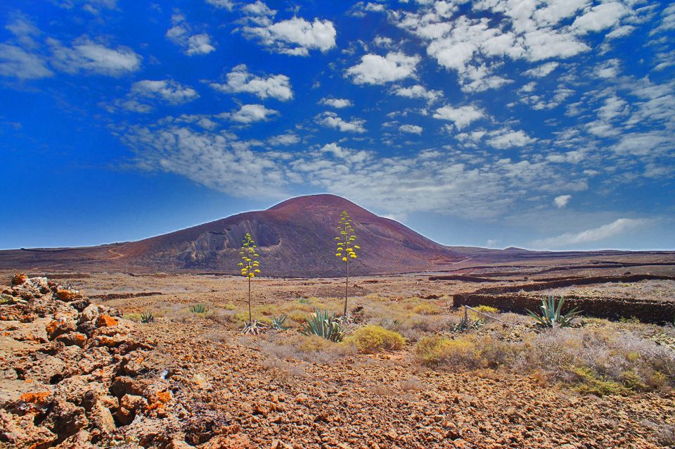 Fuerteventura: Trekking Tour Through the North of the Island - Key Highlights