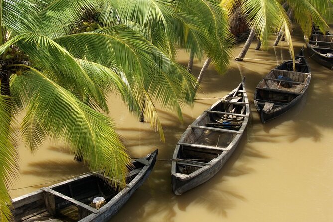 Full Day Authentic Mekong Delta Life in Ben Tre - Local Cuisine and Dining Experience