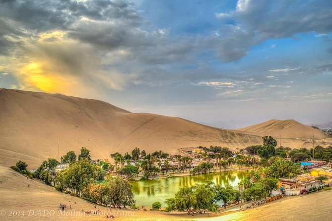 Full Day Ballestas Islands Huacachina, the Oasis of America Ica Desert - Wildlife and Landscapes Exploration