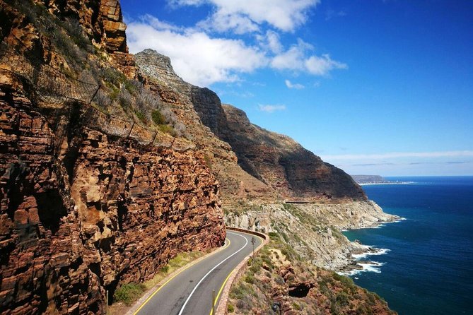 Full-Day Best of the Cape, Peninsula, Cape Point and Stellenbosch Tour - Reviews and Testimonials