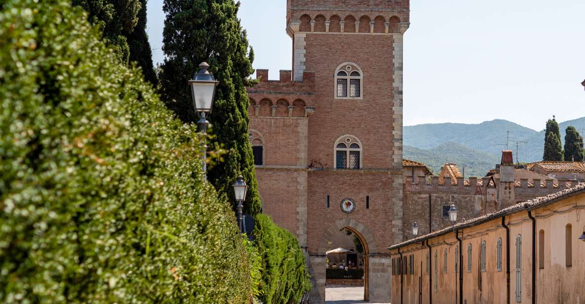 Full Day Bolgheri Tuscan Private Tour From Florence - Full Description