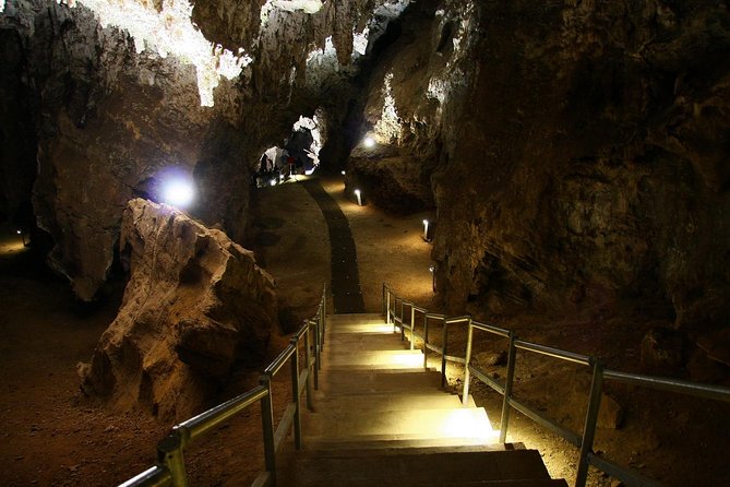 Full-Day Cradle of Humankind Guided Tour From Johannesburg or Pretoria - Price and Booking Information