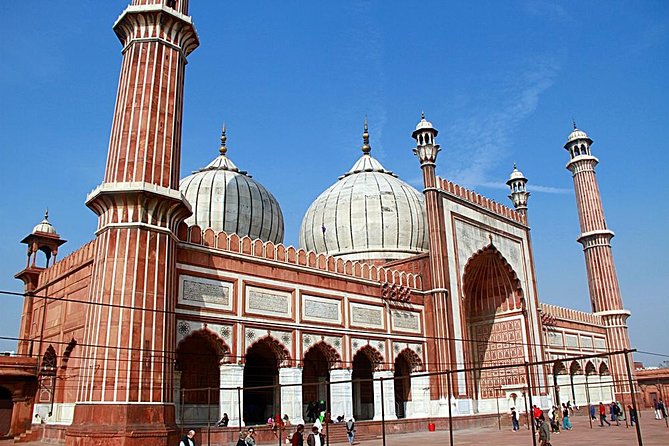 Full Day Delhi Tour - Pricing and Inclusions
