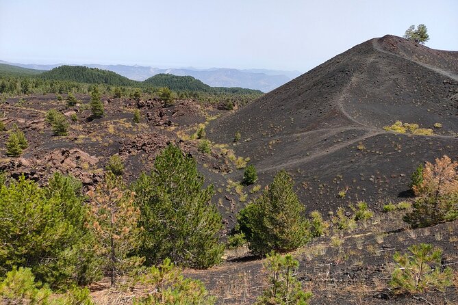 Full Day Etna Immersive Trek & Taste From Taormina and Naxos - Tour Requirements