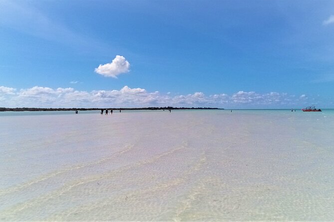 Full Day Excursion to the Best of Holbox From Cancun - Ecotourism Activities