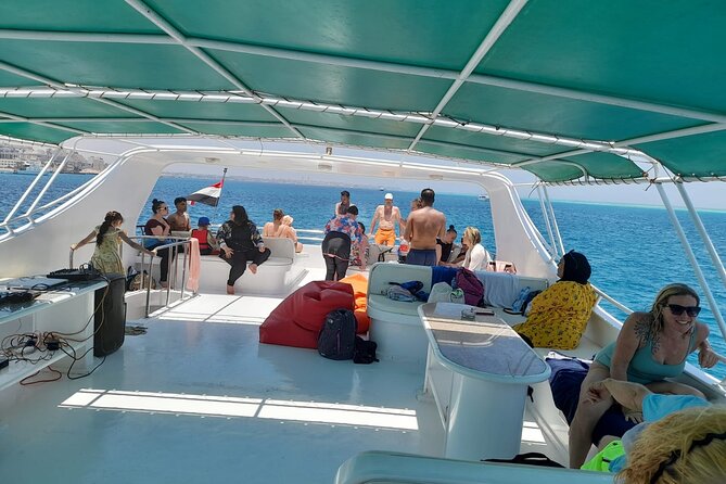 Full-Day Experience With Dolphins and Snorkeling in Red Sea - Expert Dolphin Guided Tour