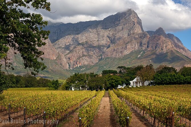 Full-Day Franschhoek Wine Tour From Cape Town - Wine Tasting Experiences