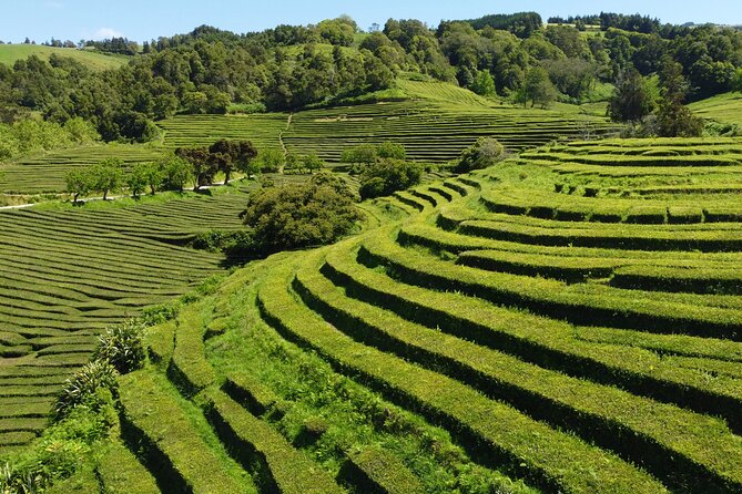 Full-Day Jeep Tour to Furnas - Lunch Options