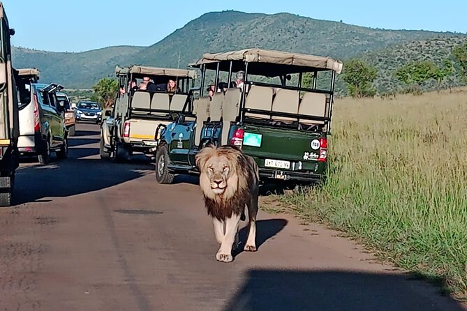 Full Day Pilanesberg Safari Adventure - Itinerary Details