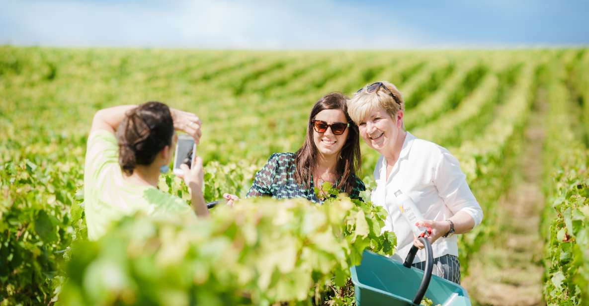 Full Day Pommery Small Group Tour - Inclusions