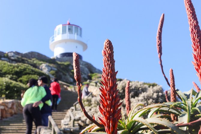Full Day Private Cape Point & Peninsula - Itinerary Highlights