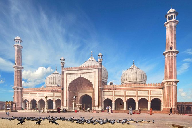 Full Day Private Custom Tour of New Delhi - Cancellation and Refund Policy