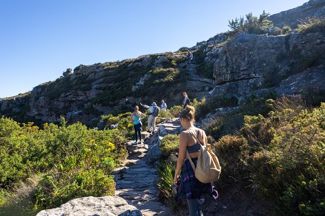 Full Day Private Hiking Table Mountain & City - Scenic Highlights