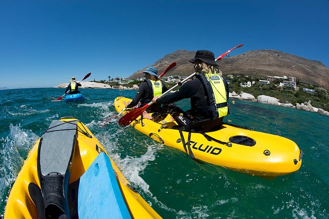 Full Day Private Sea Kayaking & Cape Point - Itinerary Overview