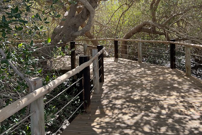 Full-Day Private Tour in Kalba Mangroves And Khor Fakkan - Scenic Boat Tour Experience