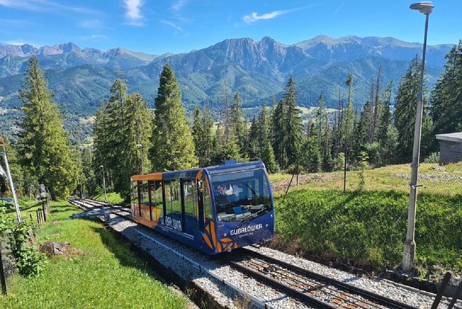 Full-Day Private Tour of Slovakia Treetop Walk and Zakopane - Treetop Walk Experience