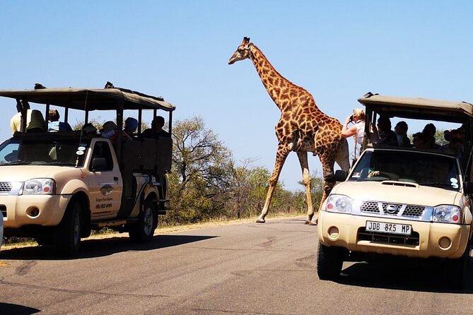 Full Day Safari Shared Tour at Kruger National Park - Meeting and Pickup Details