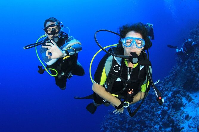 Full-Day Scuba Diving Experience in Alanya With Lunch and Pick Up - Safety Briefing and Instructions