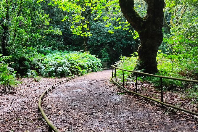 Full-Day Self Guided Hike in Caldeirão Verde Levada - Must-Have Gear Checklist