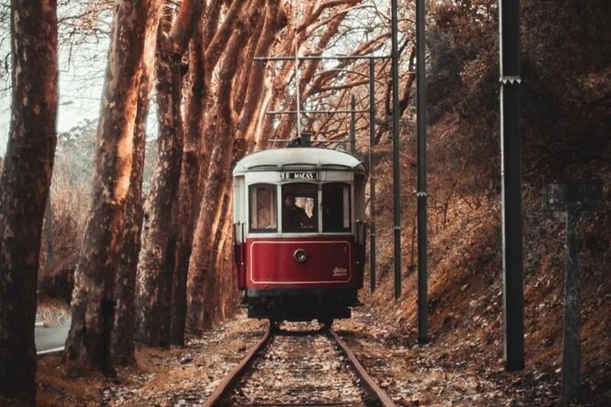 Full-Day Self-Guided Private Luxury Tour in Sintra - Tour Duration and Inclusions