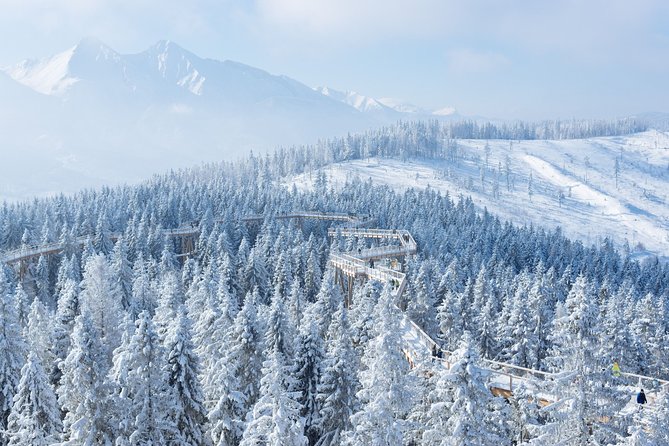 Full-Day Slovakia Treetop Walk and Thermal Baths From Krakow - Pricing Information