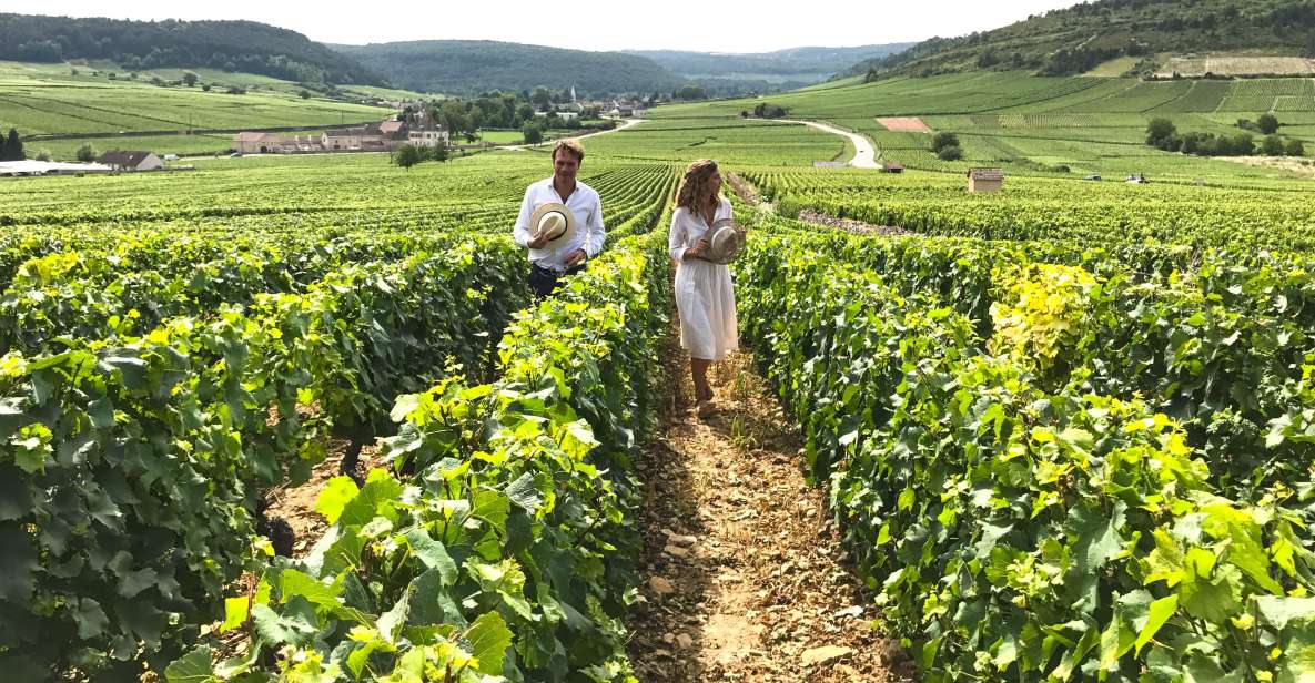 Full Day : the Most of Burgundy With Lunch From Dijon/Beaune - Duration and Availability Information