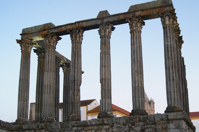 Full Day Tour in Évora From Lisbon - Expert Tour Guides and Insights