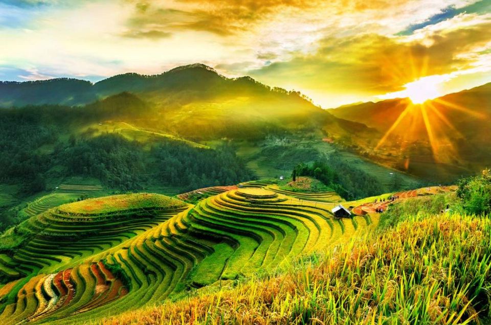 Full Day Tour in Sapa Trekking With Local Guide - Tour Highlights