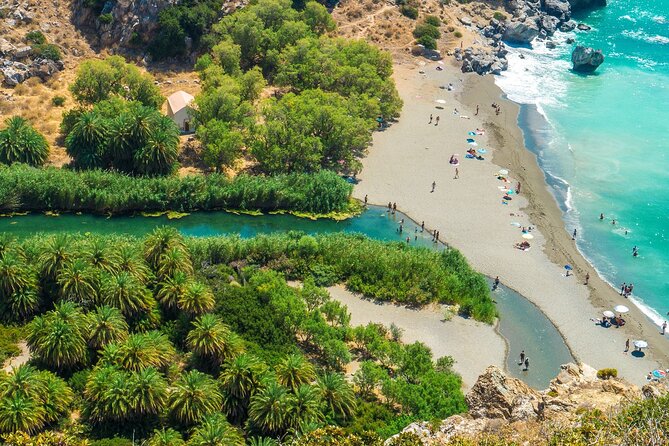 Full-Day Tour to Preveli Palm Beach From Chania - Itinerary Details