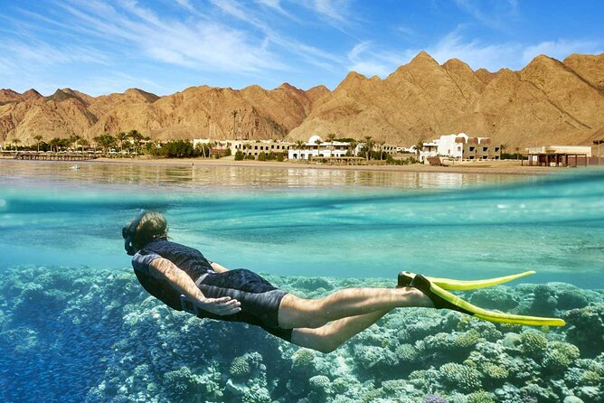 Full Relaxing Day To The Red Sea From Cairo Or Giza Hotel - Tour Overview and Activities