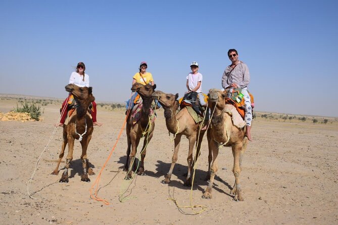 Fullday Overnight Camel Safari (Non Touristic) - Wanderlust Camel Safari