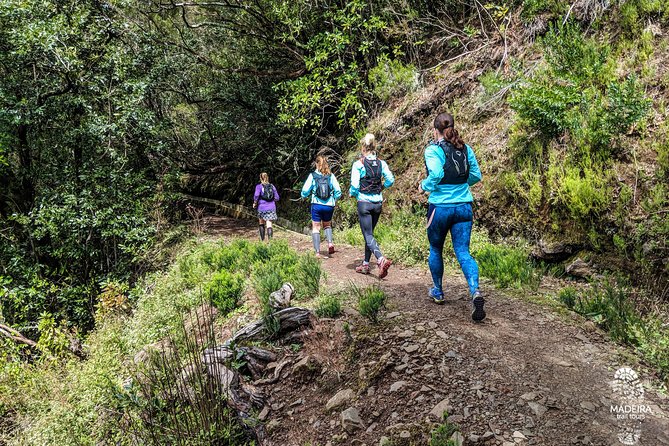 Funchal Half-Day Trail Running Small-Group Tour - Group Size and Cancellation Policy