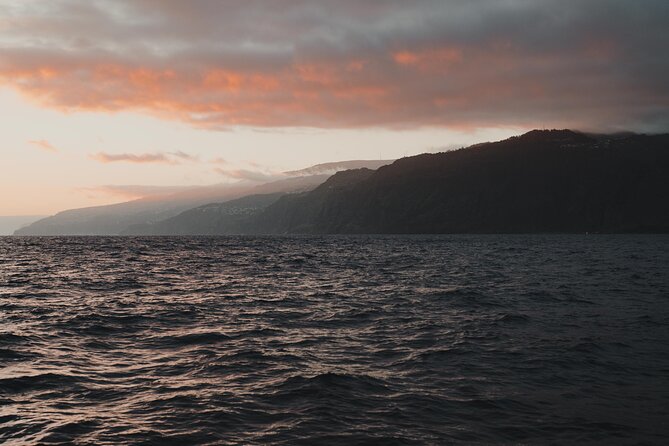 Funchal Sunset Sailing Private Tour - Important Information