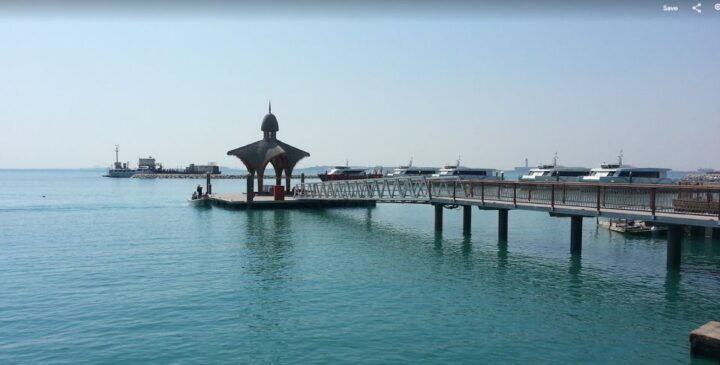 Gandía: History, Beach & Albufera Natural Park Private Tour - Tour Experience