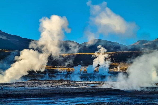 Geyser Del Tatio - Wildlife and Flora