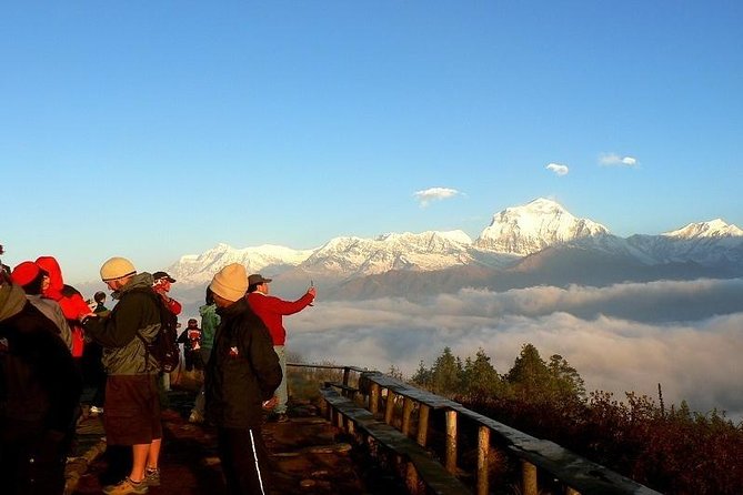 Ghorepani Poonhill Trek 5 Days From Pokhara - Itinerary Overview