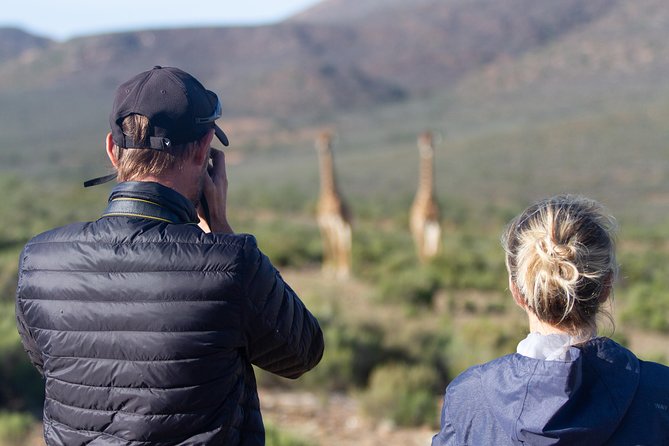 Giraffe Walk - Inclusions and Refreshments