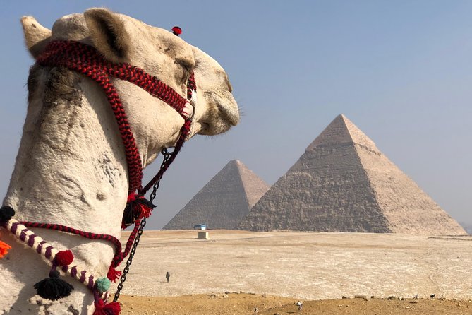 Giza Pyramids, Sphinx & Egyptian Museum Treasures With Private Qualified Guide - Essential Pricing Information