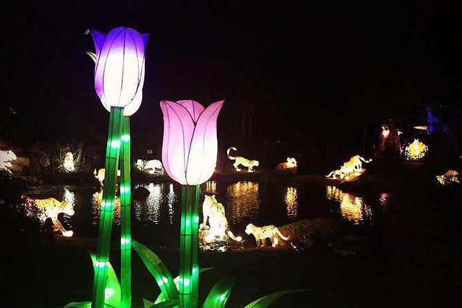 Glow Garden Ticket & Two Way Private Transfers - Cancellation Policy Details