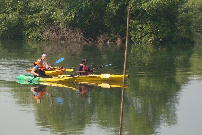 Goa Kayaking Spikes Salonia Backwaters Kayaking Experience - Participant Requirements and Recommendations