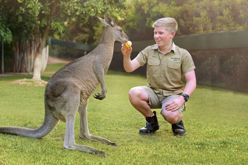 Gold Coast: Australia Zoo Ticket and Roundtrip Transfer - Experience Highlights