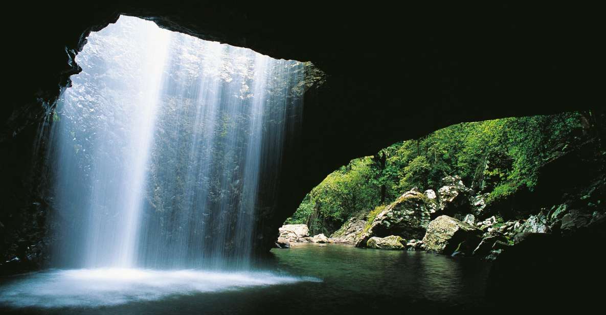 Gold Coast: Natural Bridge & Springbrook Waterfalls Tour - Pricing and Duration