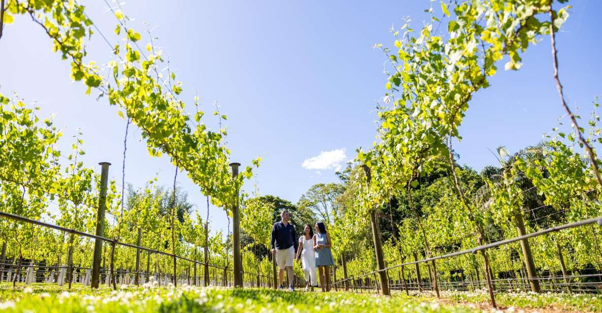 Gold Coast: Winery Tour With Tastings and 2-Course Lunch - Tour Itinerary